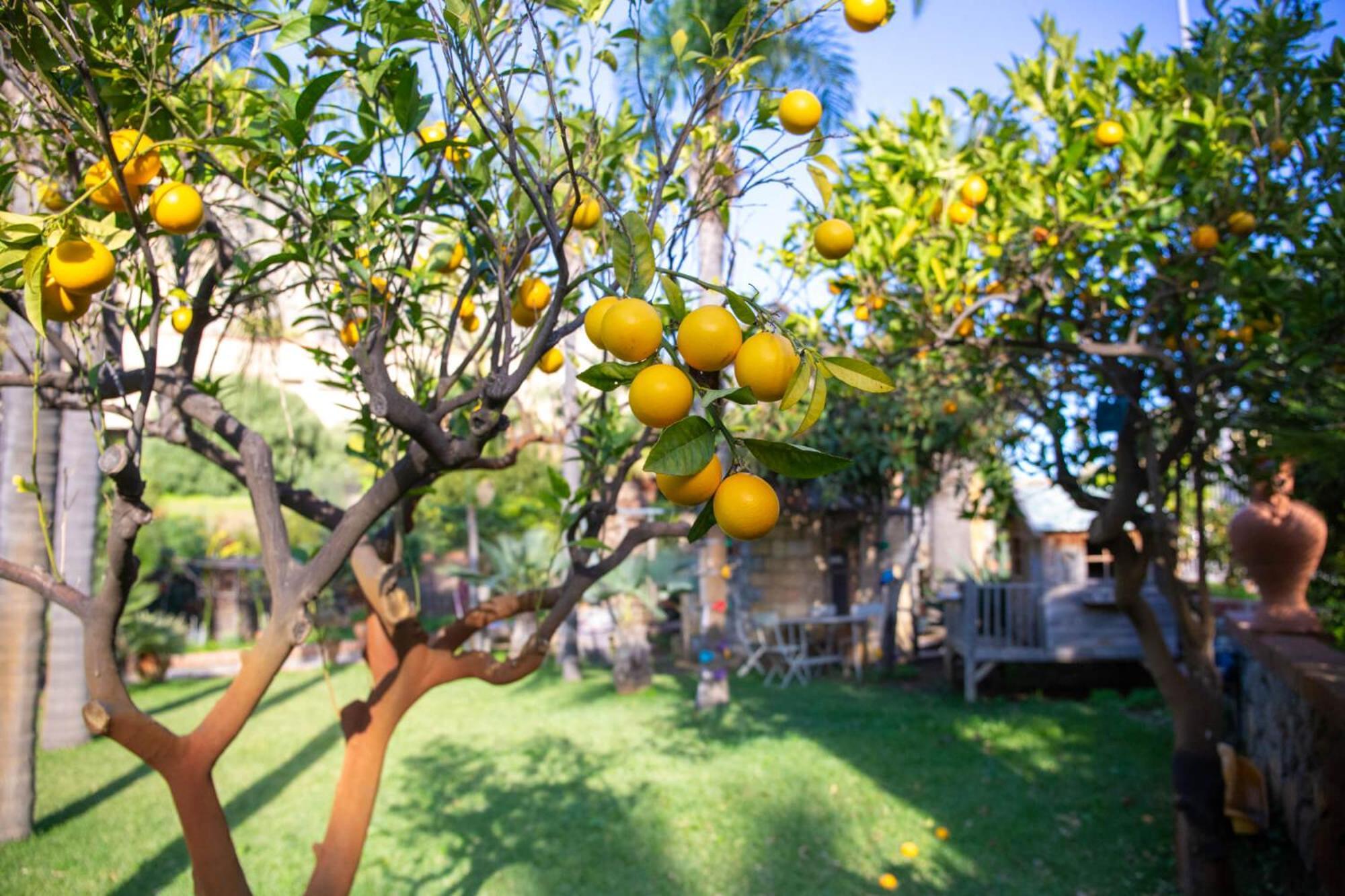 Villa Caterina - Solemar Sicilia Cefalù Dış mekan fotoğraf